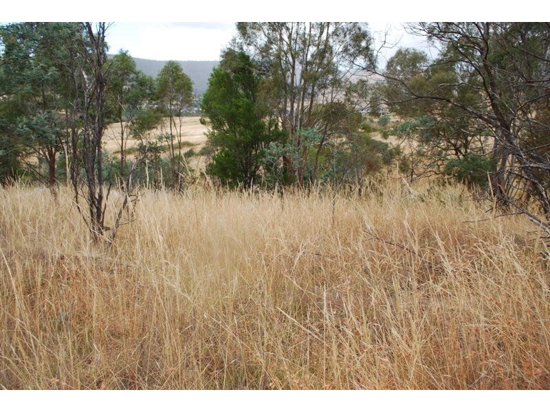 Lot 1 & 2,  Kensington Street, New Norfolk TAS 7140