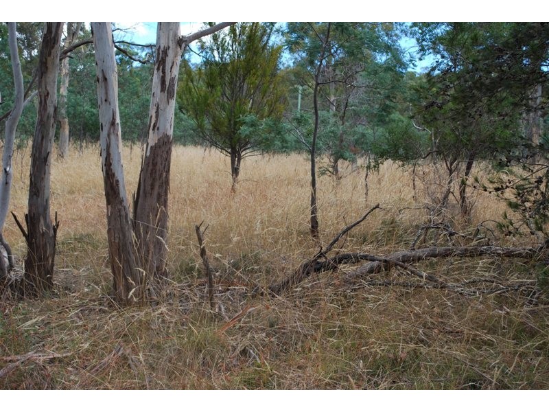 Lot 1 & 2,  Kensington Street, New Norfolk TAS 7140