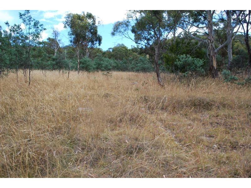 Lot 1 & 2,  Kensington Street, New Norfolk TAS 7140