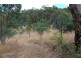 Lot 1 & 2,  Kensington Street, New Norfolk TAS 7140