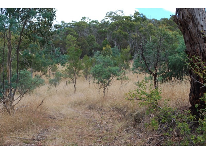 Lot 1 & 2,  Kensington Street, New Norfolk TAS 7140