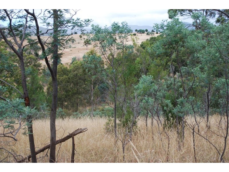 Lot 1 & 2,  Kensington Street, New Norfolk TAS 7140