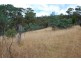 Lot 1 & 2,  Kensington Street, New Norfolk TAS 7140