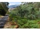 Lot 1 & 2,  Kensington Street, New Norfolk TAS 7140
