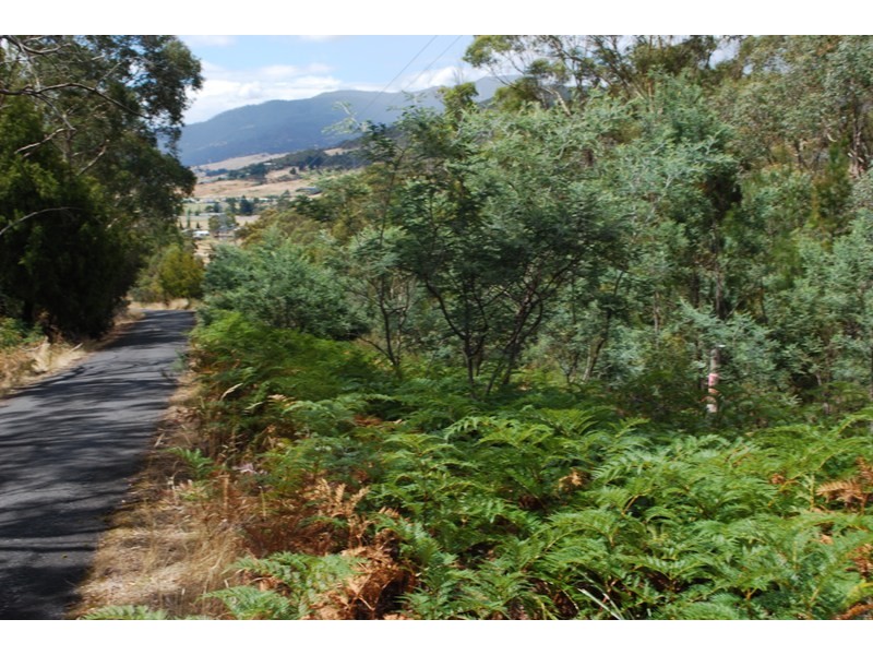 Lot 1 & 2,  Kensington Street, New Norfolk TAS 7140