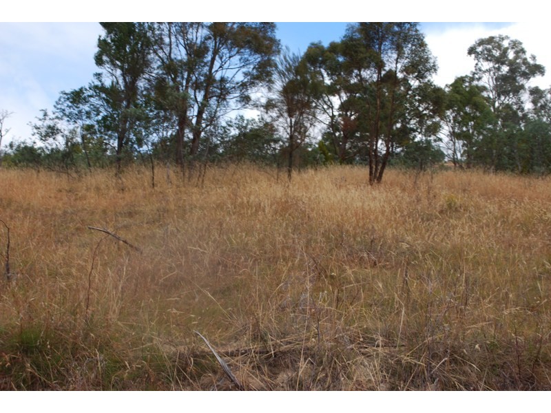 Lot 1 & 2,  Kensington Street, New Norfolk TAS 7140