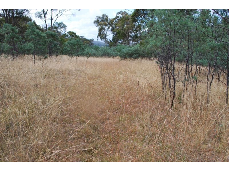Lot 1 & 2,  Kensington Street, New Norfolk TAS 7140