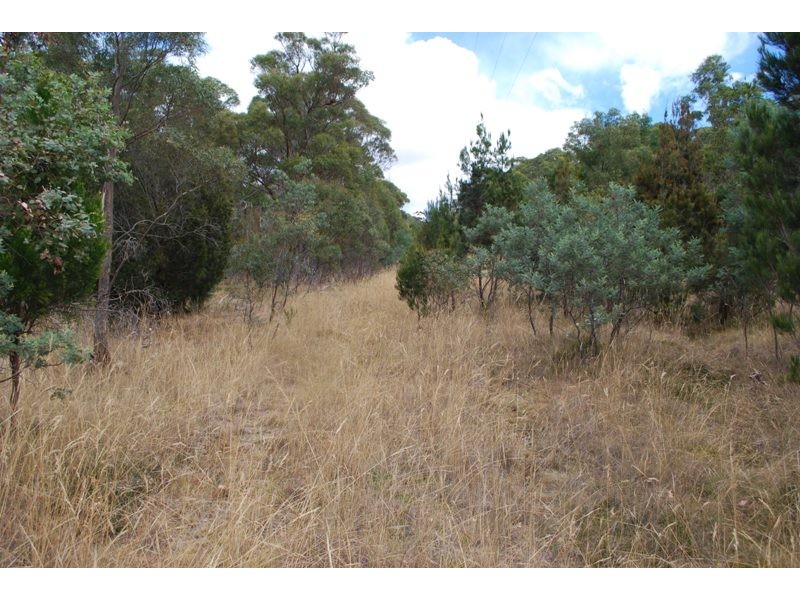 Lot 1 & 2,  Kensington Street, New Norfolk TAS 7140