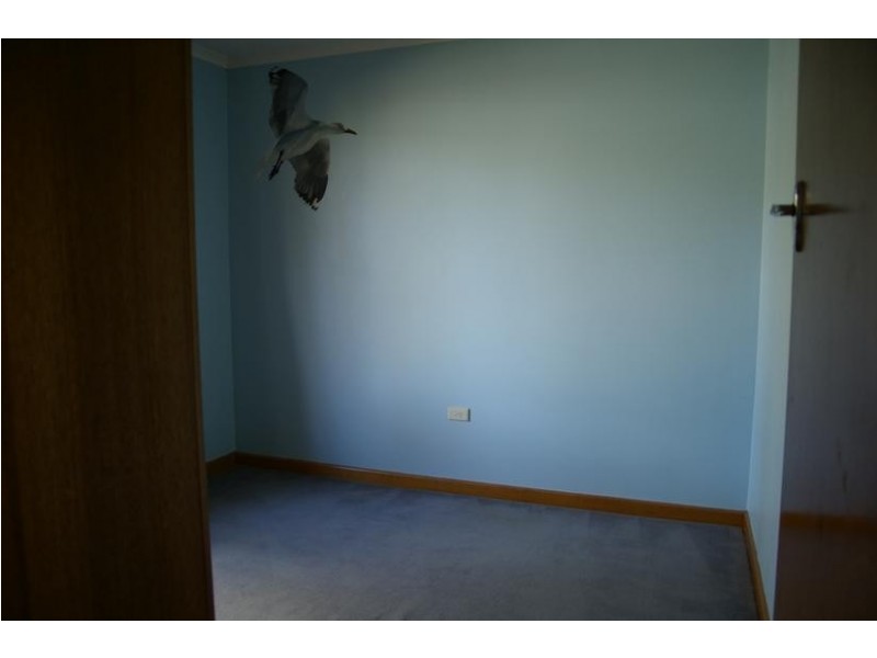 24 Stratton Avenue, Lenah Valley TAS 7008