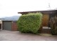 1/71 Lennox Avenue, Lutana TAS 7009