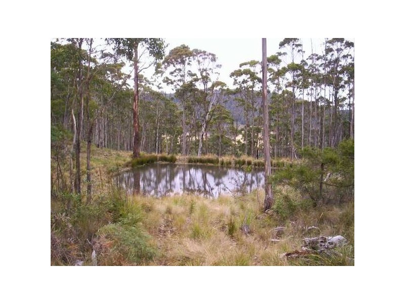 Moss Beds Road, Lachlan TAS 7140