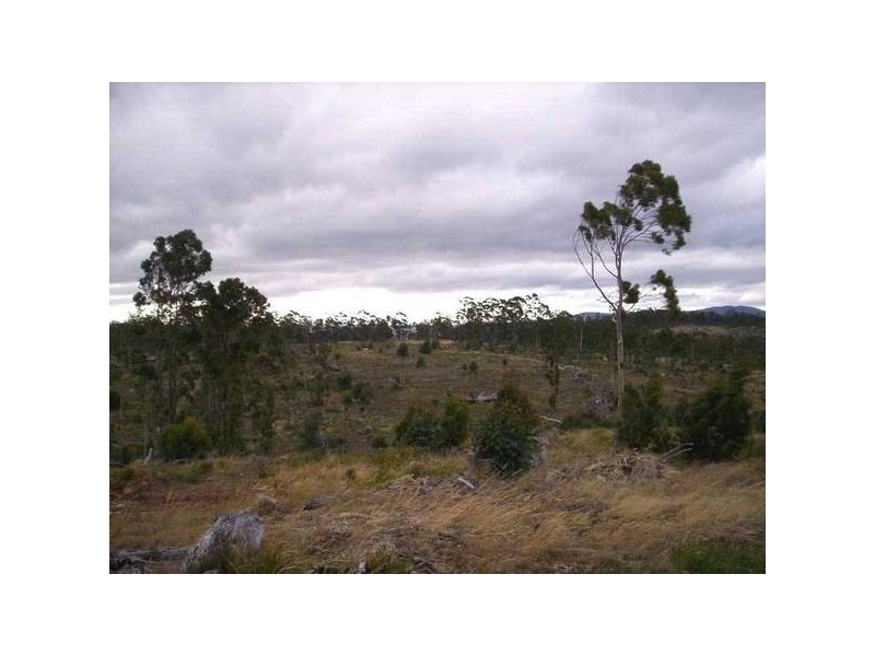 Moss Beds Road, Lachlan TAS 7140