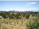 49-59 Leesons Road, Westerway TAS 7140