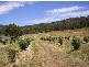 49-59 Leesons Road, Westerway TAS 7140