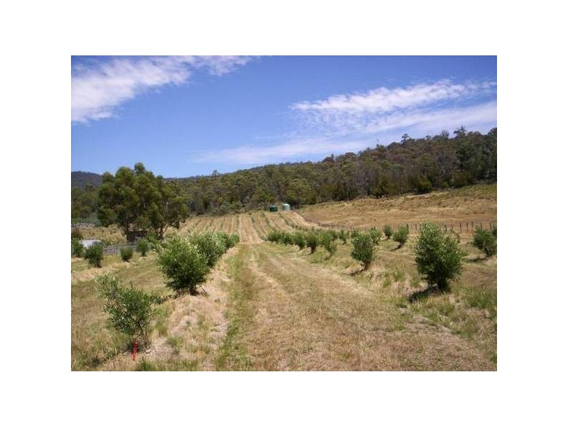 49-59 Leesons Road, Westerway TAS 7140