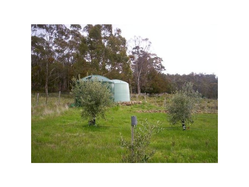 49-59 Leesons Road, Westerway TAS 7140