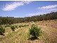 49-59 Leesons Road, Westerway TAS 7140