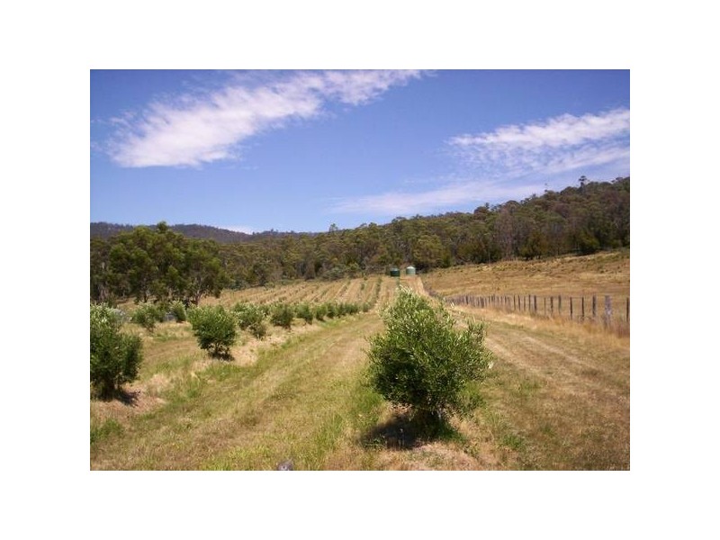 49-59 Leesons Road, Westerway TAS 7140