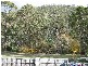 Arunta Crescent, Chigwell TAS 7011