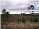 Lot Moss Beds Road, Lachlan TAS 7140