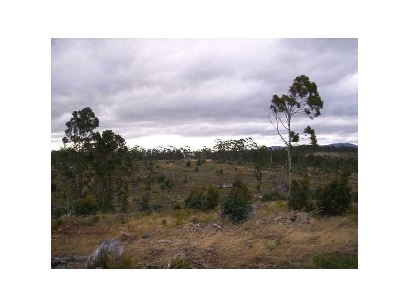 Lot Moss Beds Road, Lachlan TAS 7140