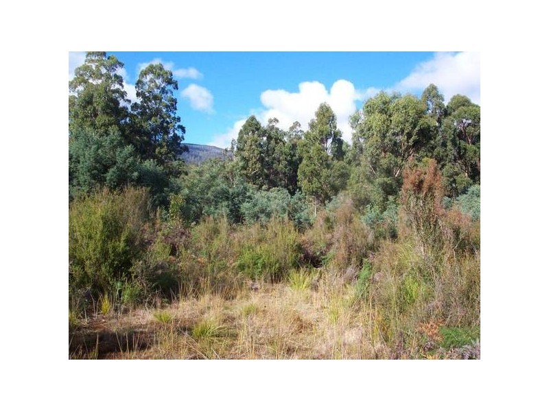 Lot Gordon River Road, Tyenna TAS 7140