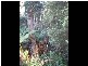 Lot Gordon River Road, Tyenna TAS 7140