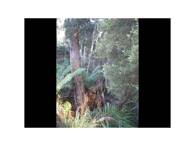 Lot Gordon River Road, Tyenna TAS 7140