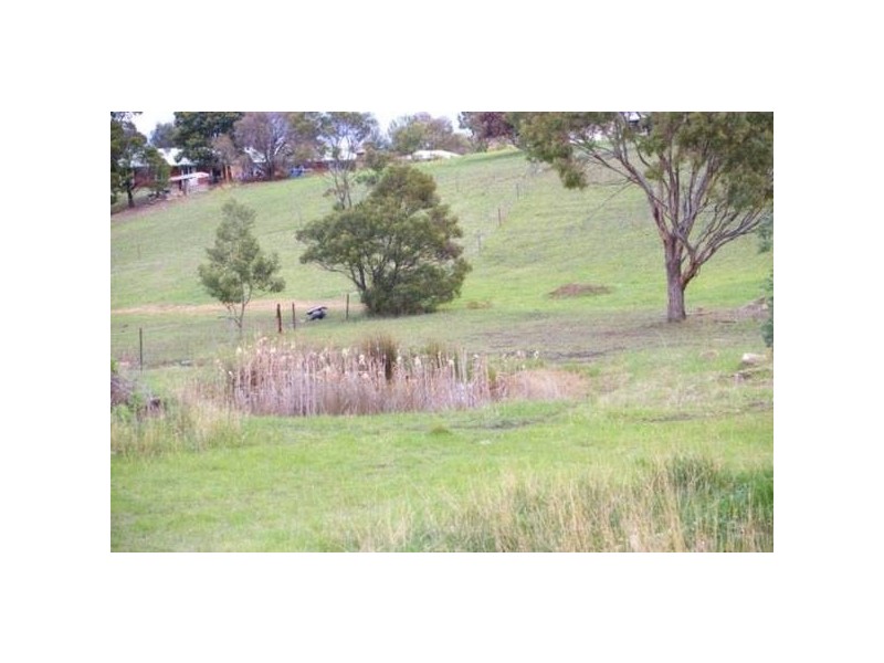 215 Briggs Road, Honeywood TAS 7017
