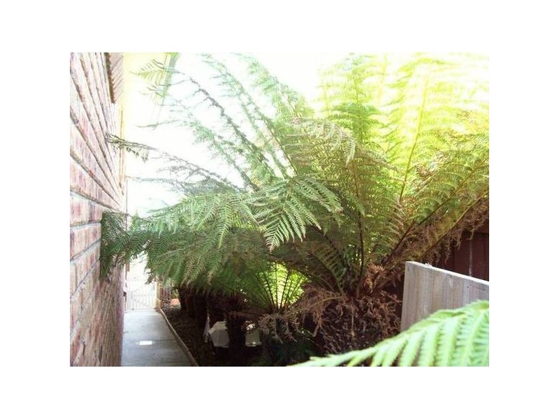 51 Bournville Crescent, Claremont TAS 7011