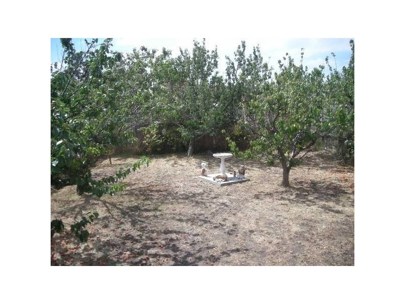 2/4 Ledwell Street, Lutana TAS 7009