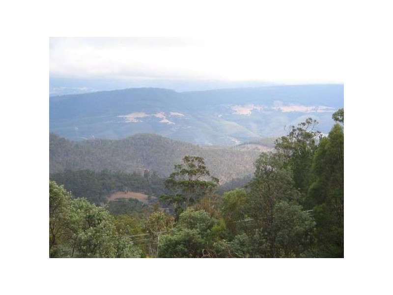 805 Collins Cap Road, Molesworth TAS 7140