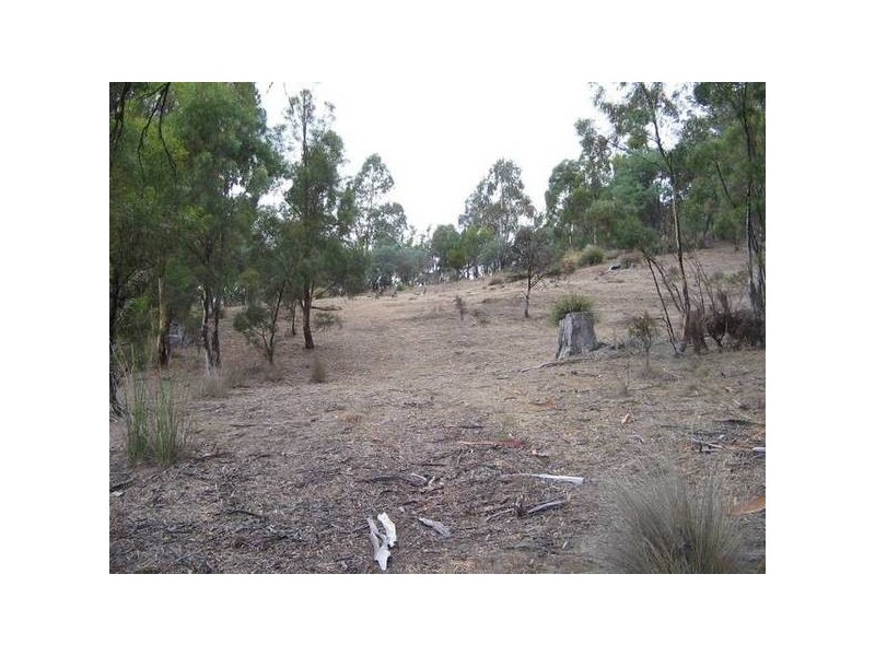 805 Collins Cap Road, Molesworth TAS 7140