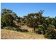21 Wakehurst Road, Austins Ferry TAS 7011