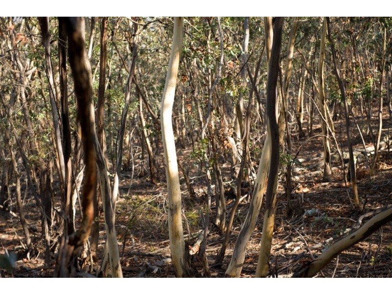 33 Cobbs Hill Road, Bridgewater TAS 7030