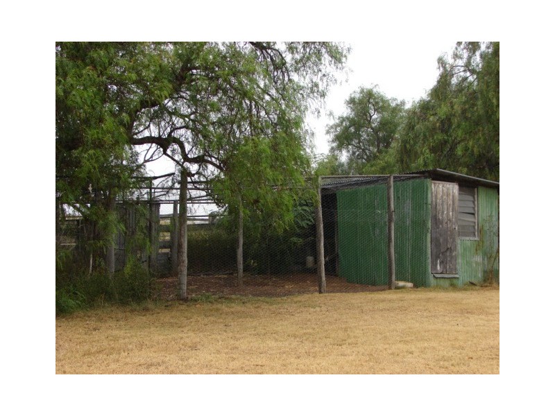 1349 McCully Gap Road, Muswellbrook NSW 2333