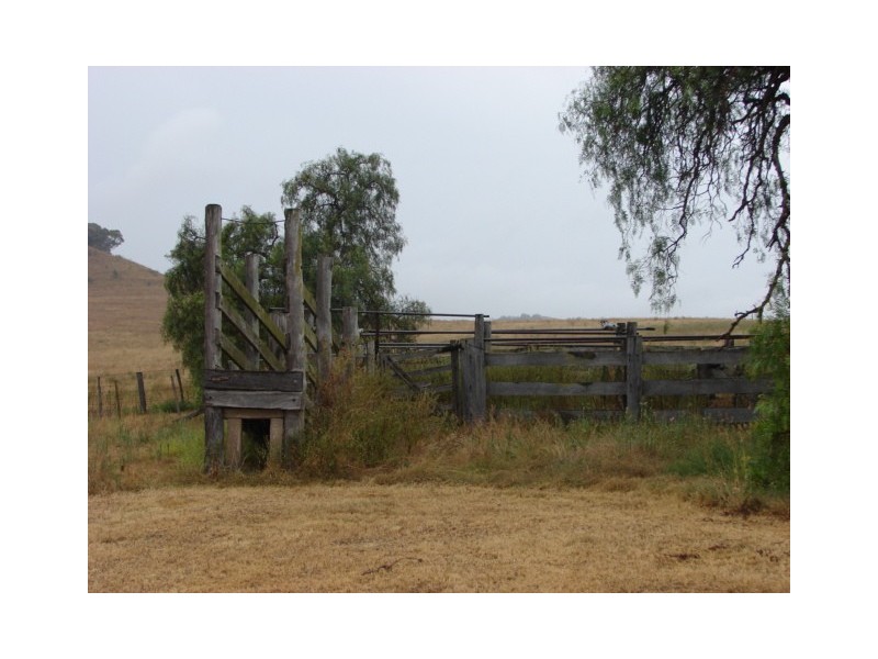 1349 McCully Gap Road, Muswellbrook NSW 2333