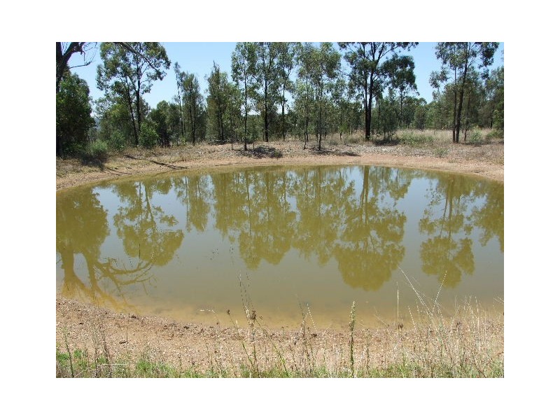 539 Merriwa Road, Denman NSW 2328