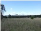 539 Merriwa Road, Denman NSW 2328