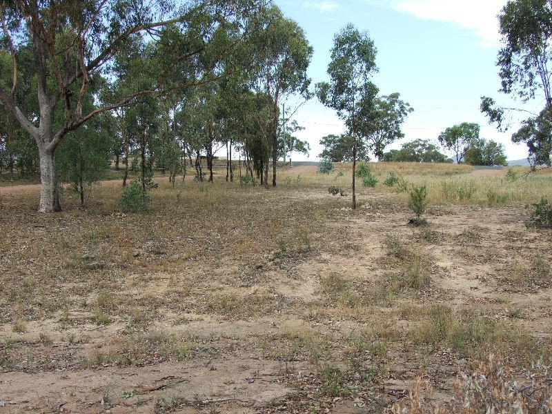 16 Grey Gum Road, Denman NSW 2328