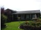 81 Humphries Street, Muswellbrook NSW 2333