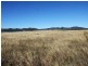 197 Mt Dangar Road, Sandy Hollow NSW 2333