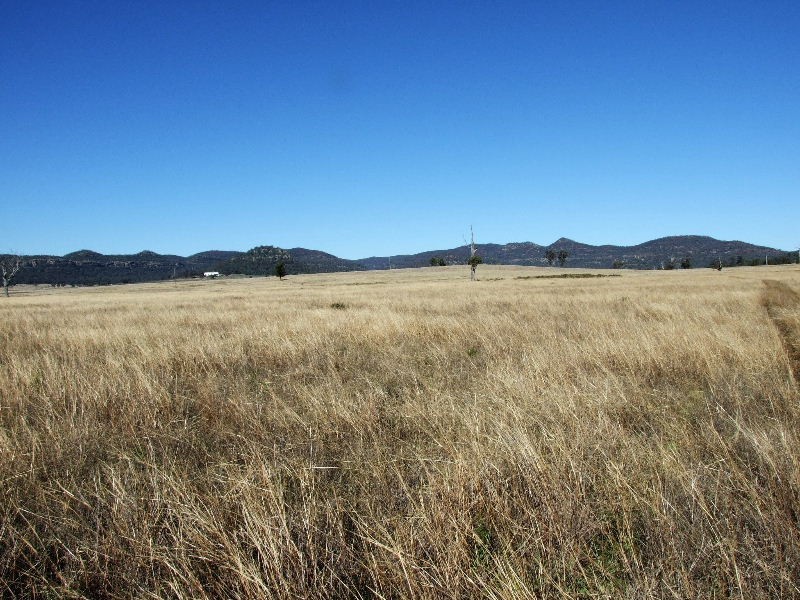 197 Mt Dangar Road, Sandy Hollow NSW 2333