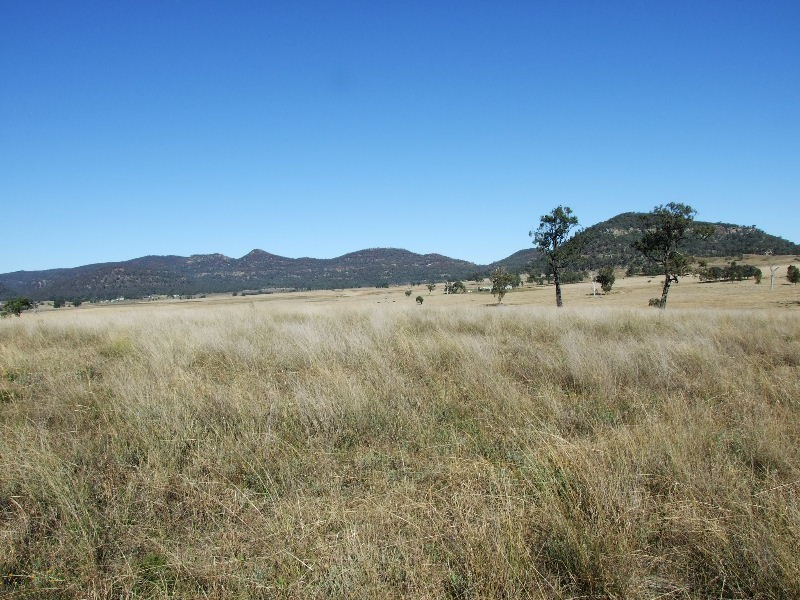 197 Mt Dangar Road, Sandy Hollow NSW 2333