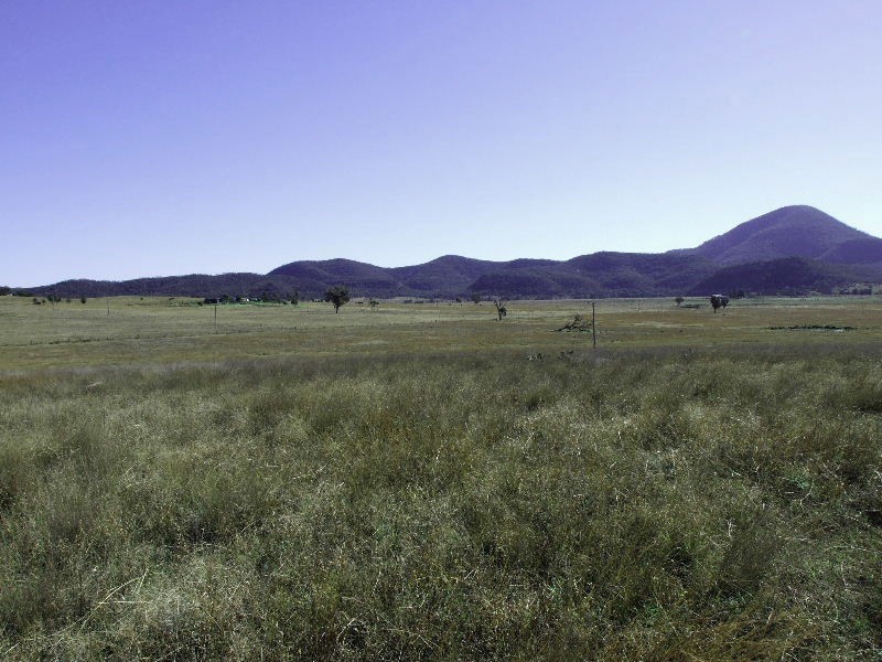 197 Mt Dangar Road, Sandy Hollow NSW 2333