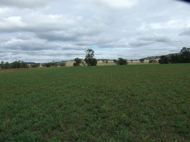 Golden Highway, Gungal NSW 2333