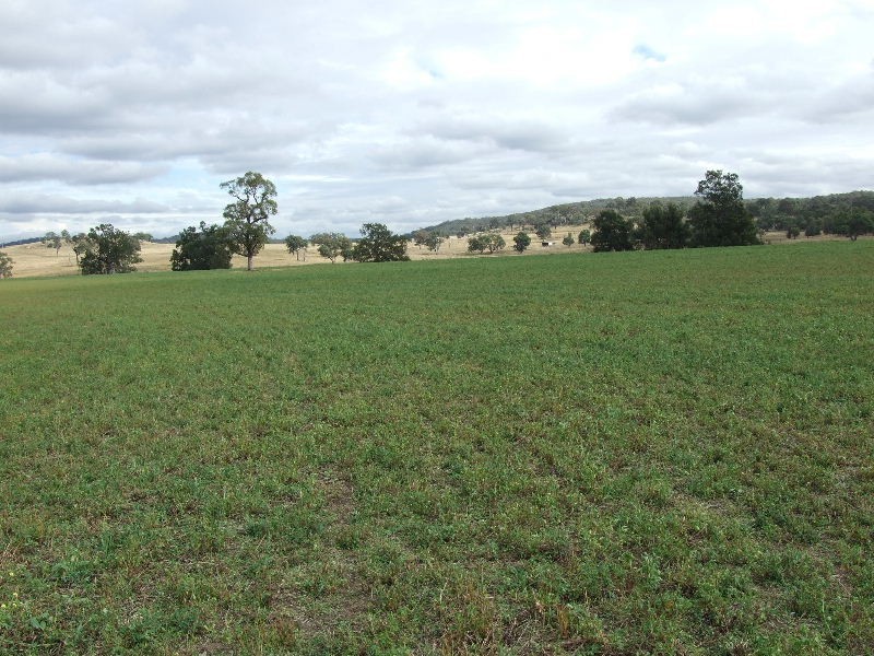 Golden Highway, Gungal NSW 2333