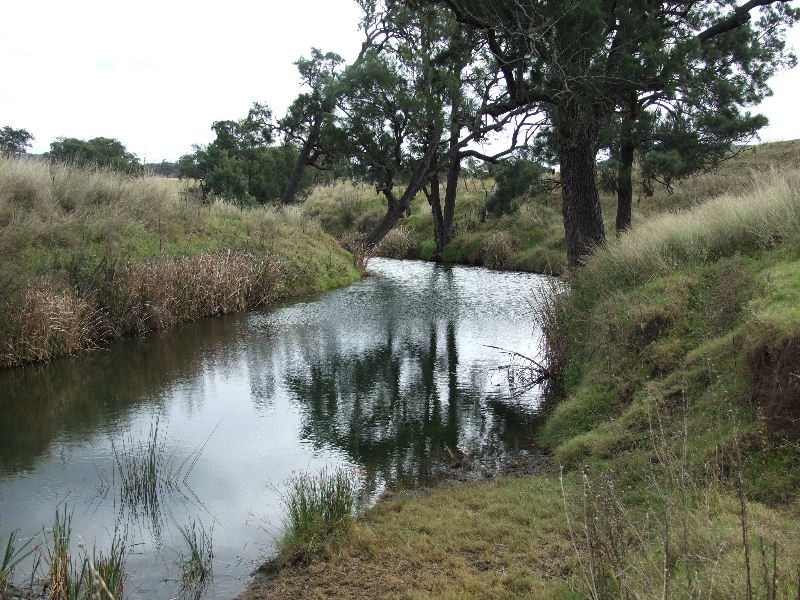 Golden Highway, Gungal NSW 2333