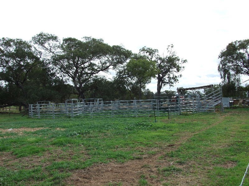 Golden Highway, Gungal NSW 2333