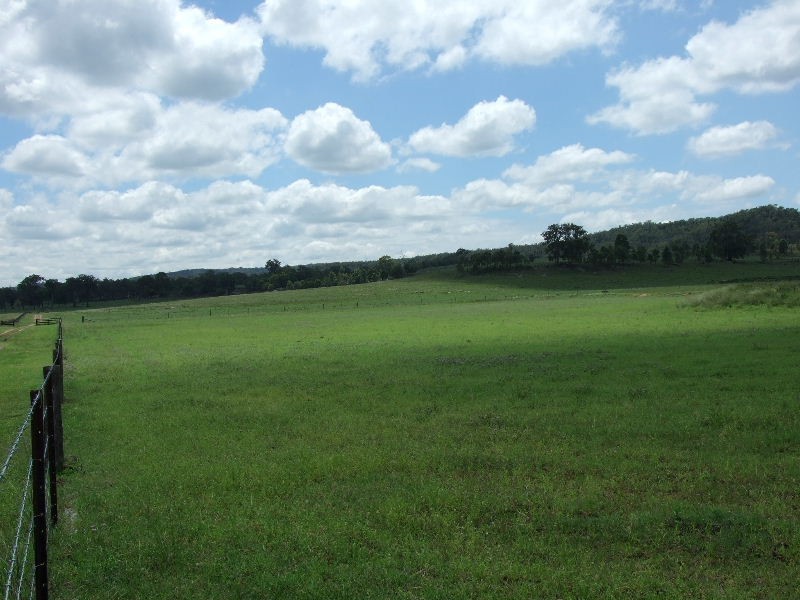 Golden Highway, Gungal NSW 2333